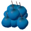 Blueberries