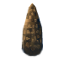 Fir cone