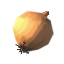 Onion