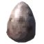Volture egg